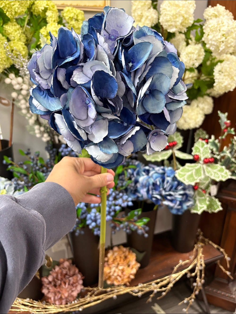 Elegant Blue Hydrangea Stem
